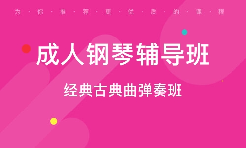 義烏經(jīng)典古典曲彈奏班  