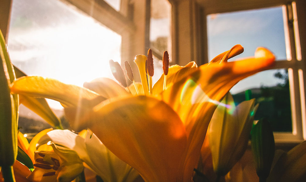 海闊天空C調(diào)吉他譜