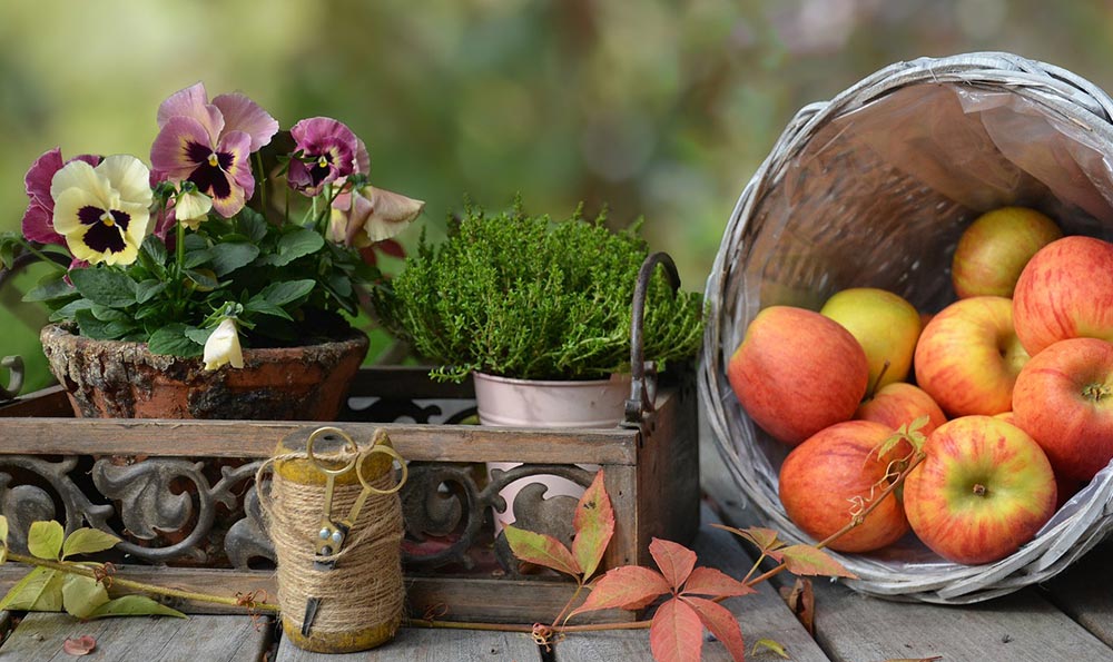 山海吉他譜華晨宇